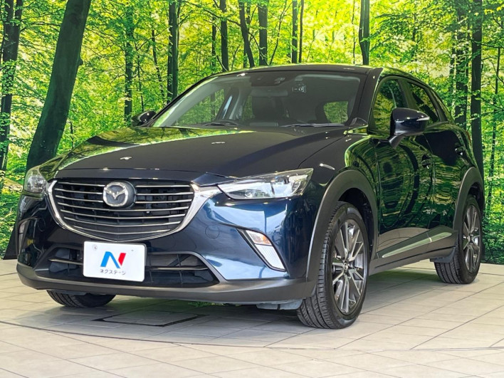 2016 Mazda CX-3 LDA-DK5FW (UW-6a2a2641b17c4)[13]