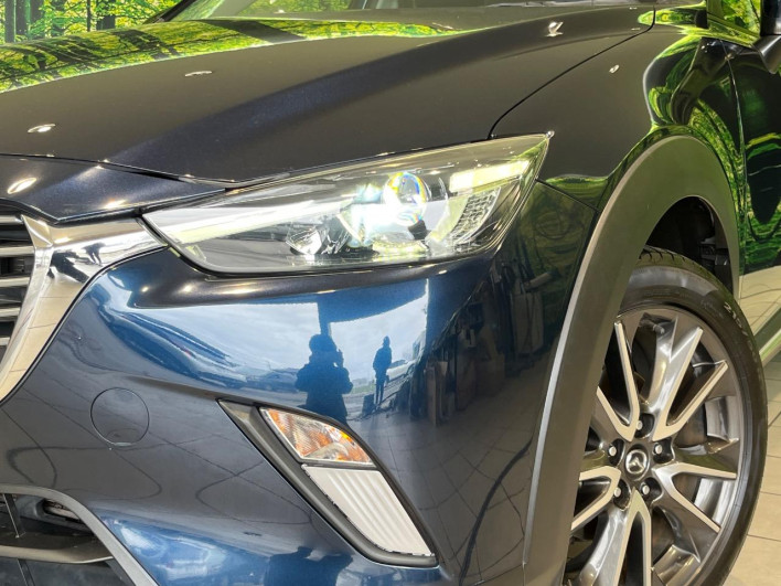 2016 Mazda CX-3 LDA-DK5FW (UW-6a2a2641b17c4)[5]