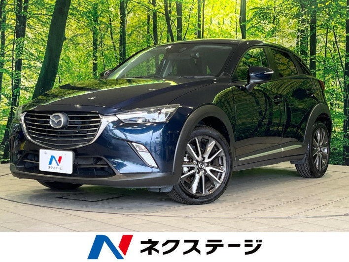2016 Mazda CX-3 LDA-DK5FW (UW-6a2a2641b17c4)[3]