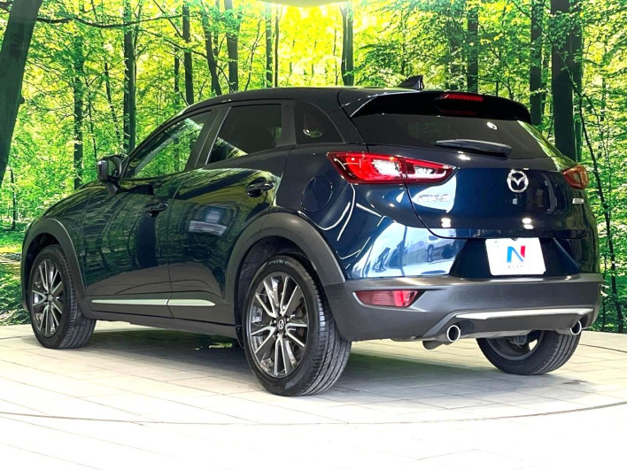 2016 Mazda CX-3 LDA-DK5FW (UW-6a2a2641b17c4)[15]