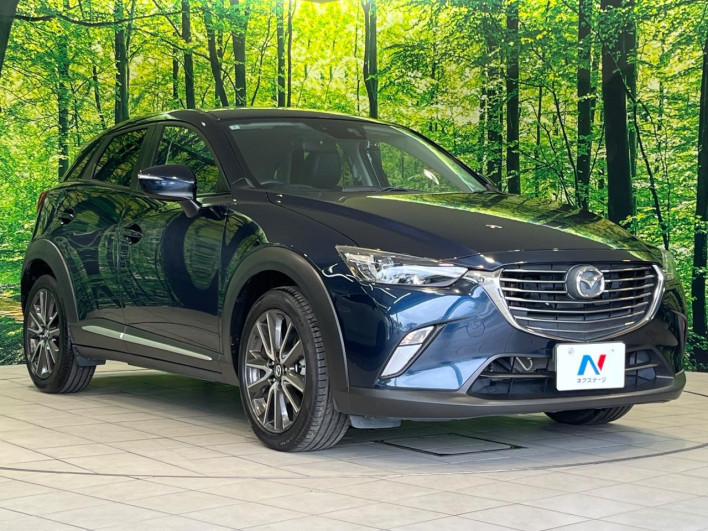 2016 Mazda CX-3 LDA-DK5FW (UW-6a2a2641b17c4)[19]