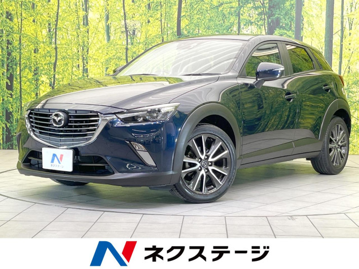 2016 Mazda CX-3 LDA-DK5FW (UW-6a2a2641bc80d)[3]