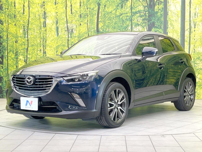 2016 Mazda CX-3 LDA-DK5FW (UW-6a2a2641bc80d)[4]