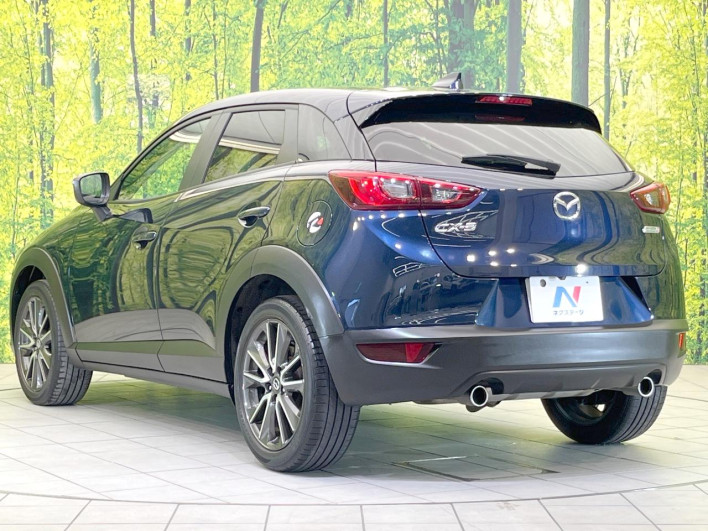 2016 Mazda CX-3 LDA-DK5FW (UW-6a2a2641bc80d)[10]