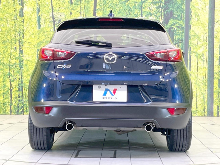 2016 Mazda CX-3 LDA-DK5FW (UW-6a2a2641bc80d)[9]