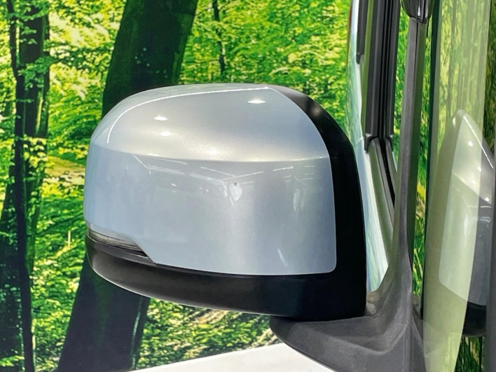 2017 Honda N-BOX DBA-JF3 (UW-6a2a269f56afc)[12]