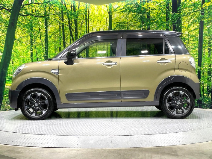 2018 Daihatsu Cast DBA-LA250S (UW-6a2a26da2c155)[5]