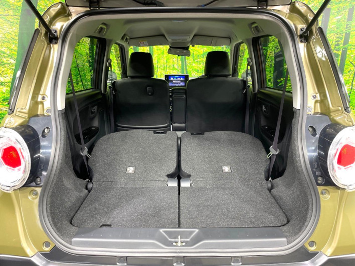 2018 Daihatsu Cast DBA-LA250S (UW-6a2a26da2c155)[18]