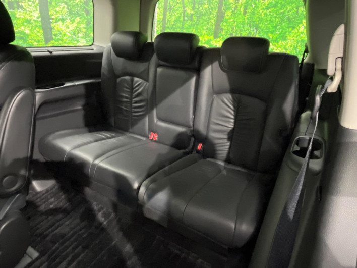 2010 Nissan Elgrand DBA-PNE52 (UW-6a2a277ea30f9)[15]