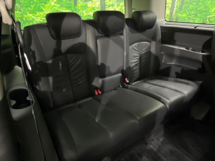 2010 Nissan Elgrand DBA-PNE52 (UW-6a2a277ea30f9)[19]