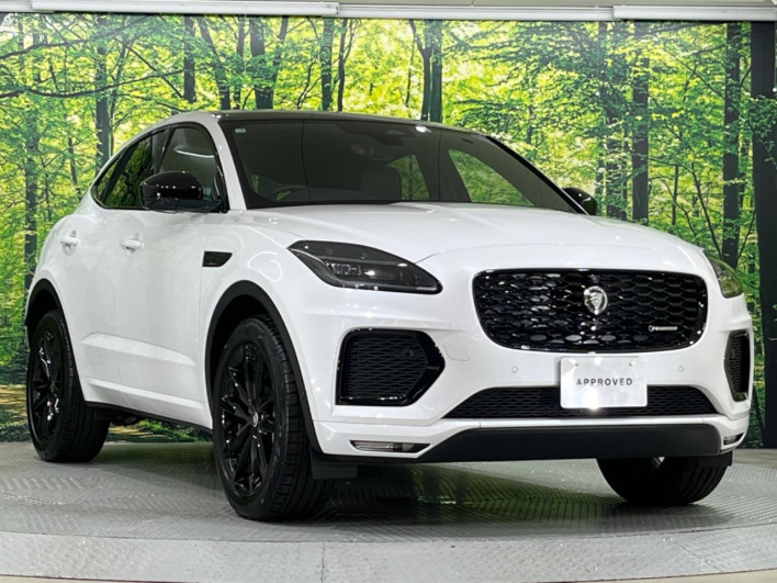 2025 Jaguar E Pace 3CA-DF2NB (UW-6a2a279bb1823)[11]