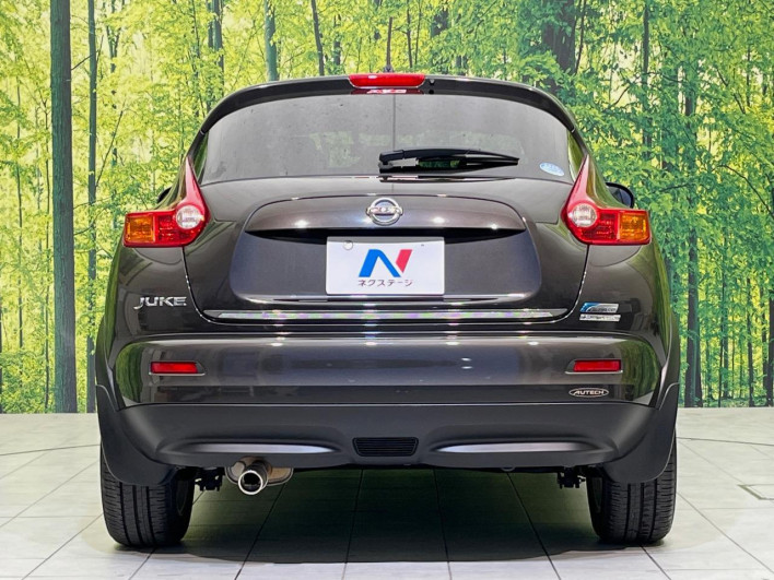 2011 Nissan JUKE DBA-YF15 (UW-6a2a27c644444)[10]
