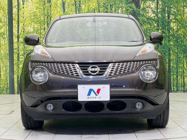 2011 Nissan JUKE DBA-YF15 (UW-6a2a27c644444)[6]