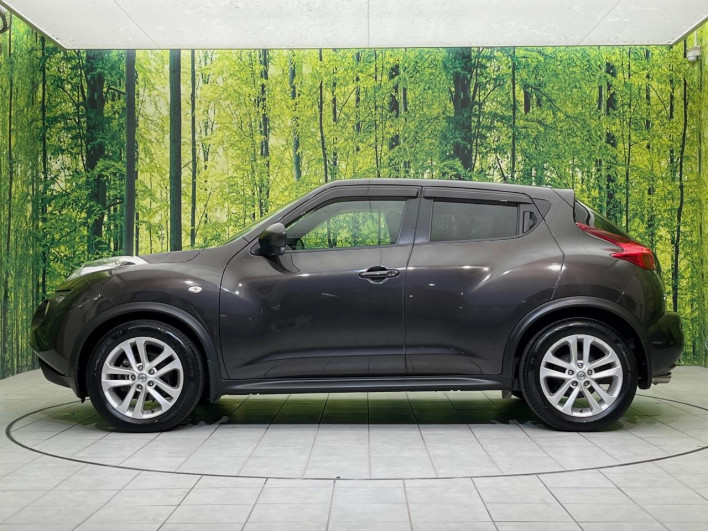 2011 Nissan JUKE DBA-YF15 (UW-6a2a27c644444)[12]