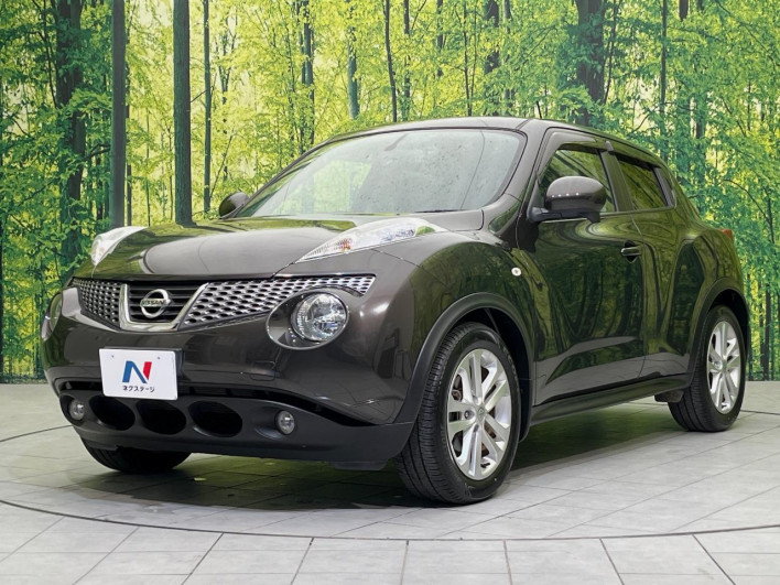 2011 Nissan JUKE DBA-YF15 (UW-6a2a27c644444)[13]