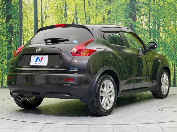 2011 Nissan JUKE DBA-YF15 (UW-6a2a27c644444)[9]