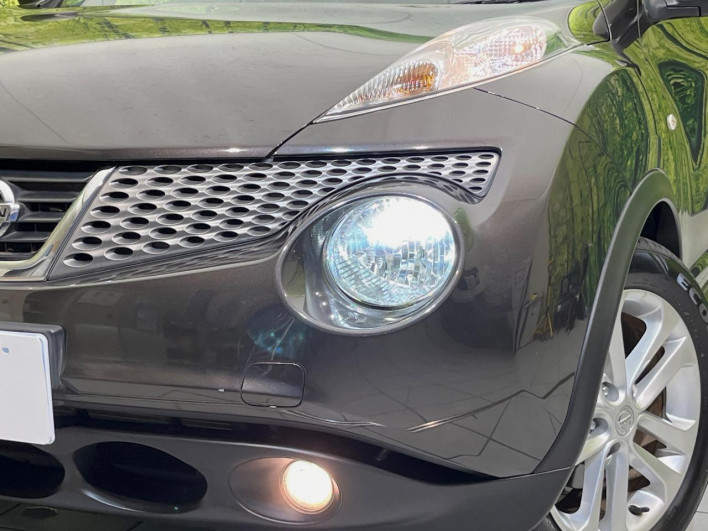 2011 Nissan JUKE DBA-YF15 (UW-6a2a27c644444)[15]