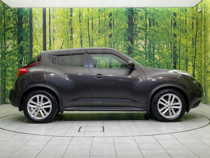 2011 Nissan JUKE DBA-YF15 (UW-6a2a27c644444)[8]