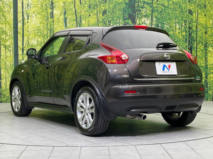 2011 Nissan JUKE DBA-YF15 (UW-6a2a27c644444)[11]