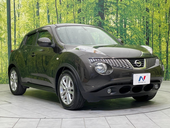 2011 Nissan JUKE DBA-YF15 (UW-6a2a27c644444)[7]