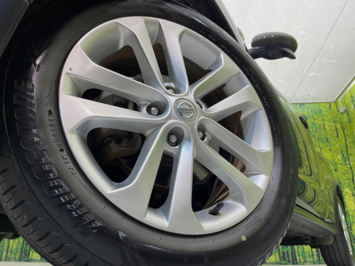 2011 Nissan JUKE DBA-YF15 (UW-6a2a27c644444)[16]
