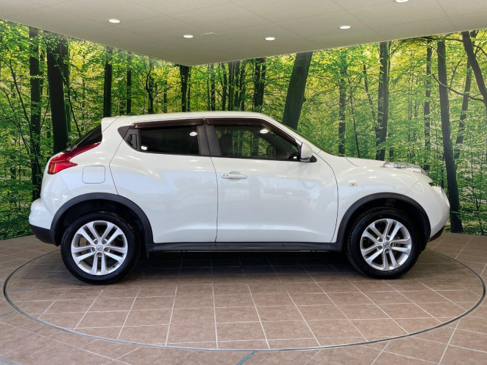 2012 Nissan JUKE DBA-YF15 (UW-6a2a27c6cb1f0)[17]