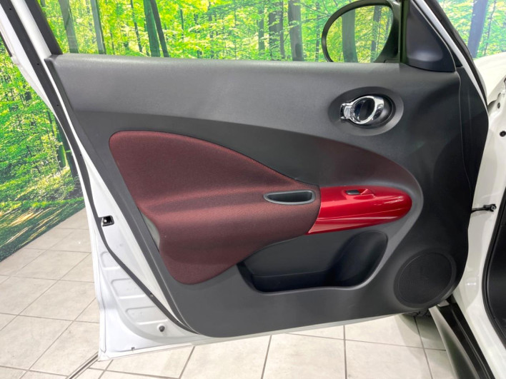 2014 Nissan JUKE DBA-YF15 (UW-6a2a27c701259)[8]