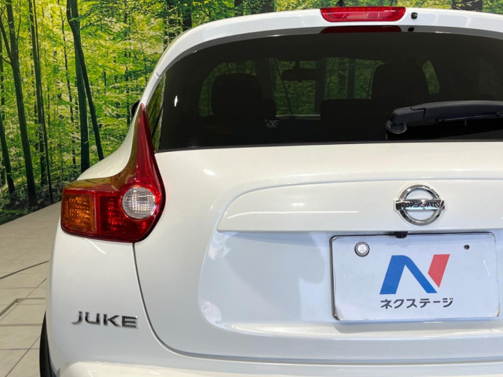 2014 Nissan JUKE DBA-YF15 (UW-6a2a27c701259)[16]