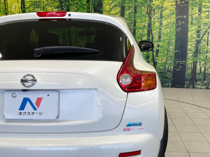 2014 Nissan JUKE DBA-YF15 (UW-6a2a27c701259)[15]
