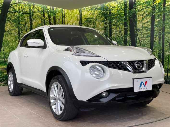 2017 Nissan JUKE DBA-YF15 (UW-6a2a27c7c9f87)[18]