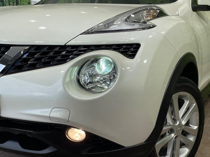 2017 Nissan JUKE DBA-YF15 (UW-6a2a27c7c9f87)[8]