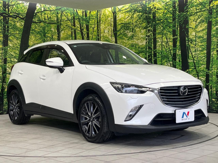 2018 Mazda CX-3 6BA-DKEAW (UW-6a2b77db91a7d)[9]