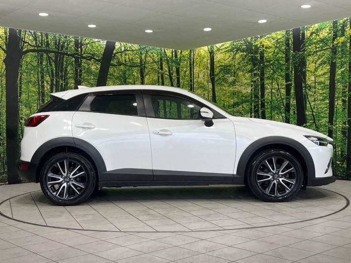2018 Mazda CX-3 6BA-DKEAW (UW-6a2b77db91a7d)[10]