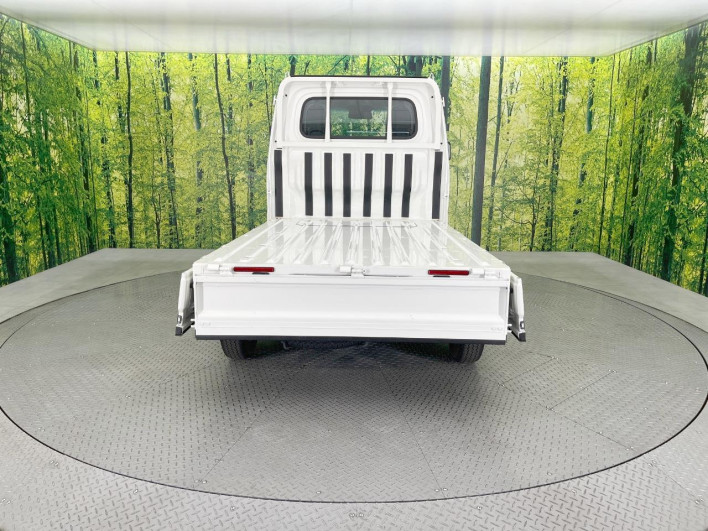 2020 Toyota Pixis Truck 3BD-S500U (UW-6a2b794c34a63)[26]