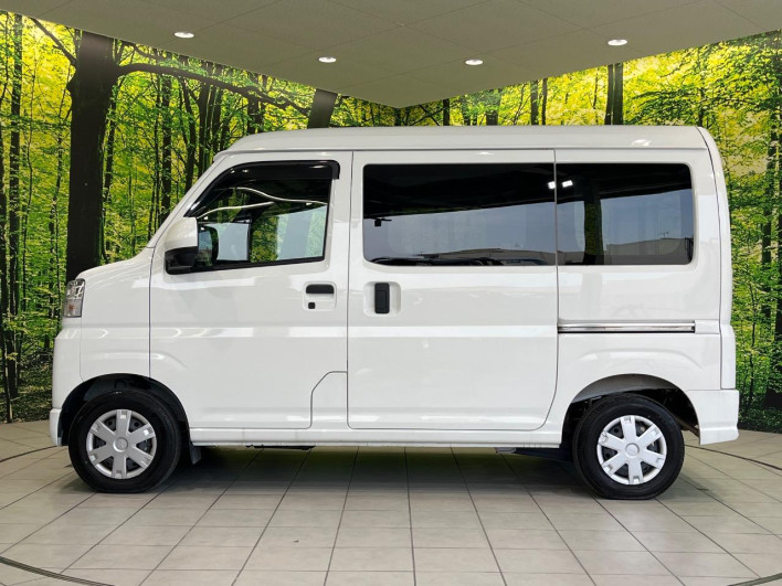2024 Daihatsu Daihatsu Hijet Cargo 3BD-S700V (UW-6a2b794db9844)[21]