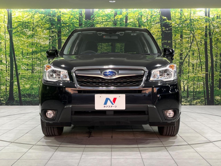 2013 Subaru Forester DBA-SJ5 (UW-6a2b7955209f6)[10]