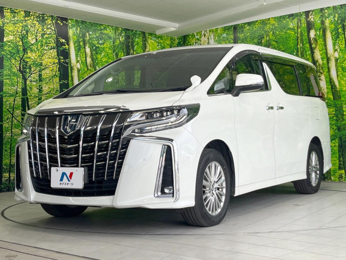 2022 Toyota Alphard Hybrid 6AA-AYH30W (UW-6a2cc9669f106)[4]