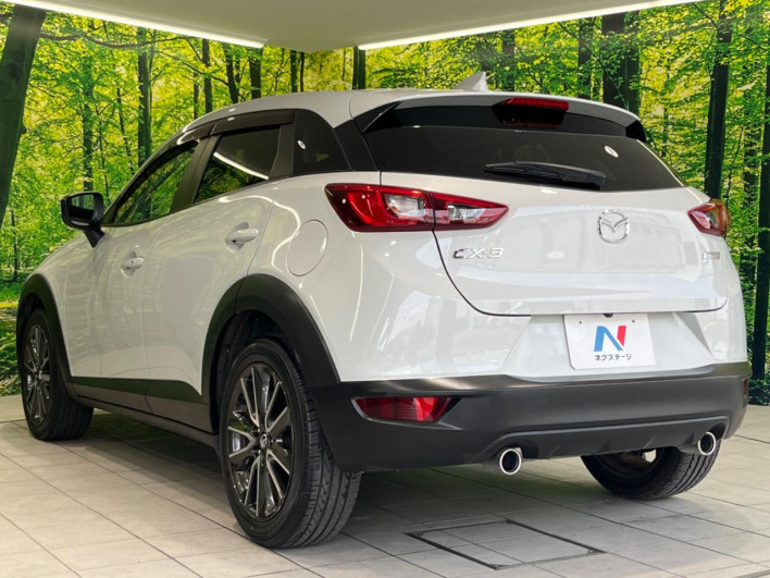 2015 Mazda CX-3 LDA-DK5FW (UW-6a2cc99b40f06)[11]