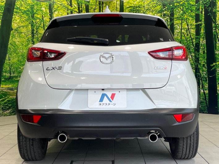 2015 Mazda CX-3 LDA-DK5FW (UW-6a2cc99b40f06)[10]