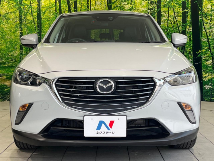 2015 Mazda CX-3 LDA-DK5FW (UW-6a2cc99b40f06)[6]