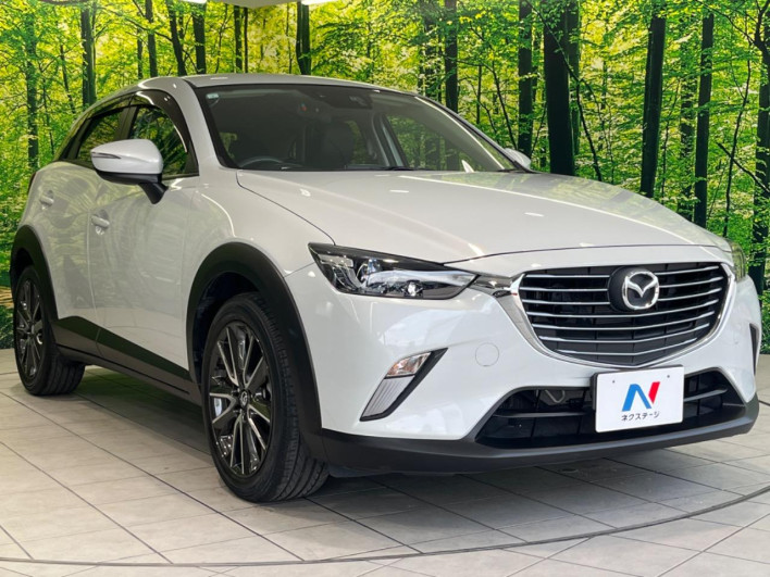 2015 Mazda CX-3 LDA-DK5FW (UW-6a2cc99b40f06)[7]
