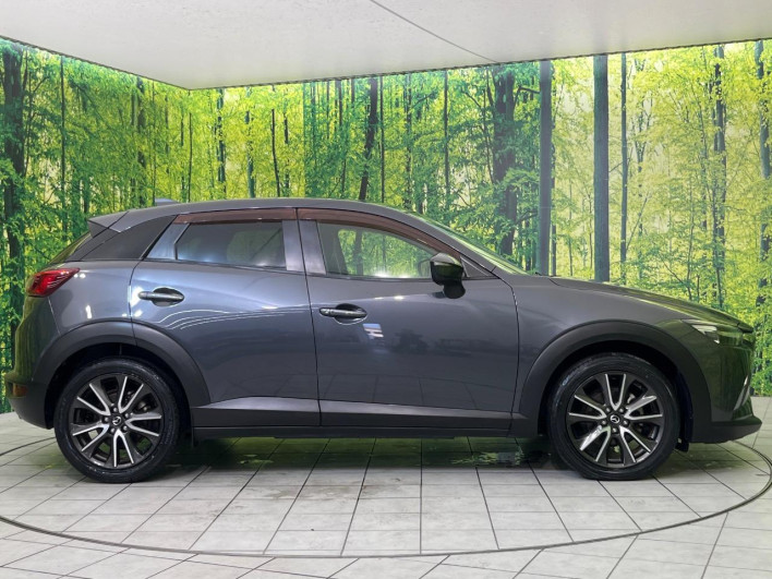 2015 Mazda CX-3 LDA-DK5FW (UW-6a2cc99b92657)[7]