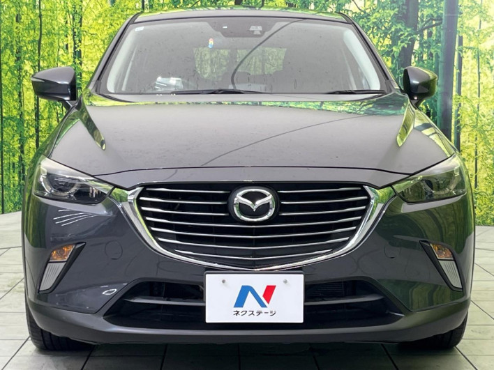 2015 Mazda CX-3 LDA-DK5FW (UW-6a2cc99b92657)[5]