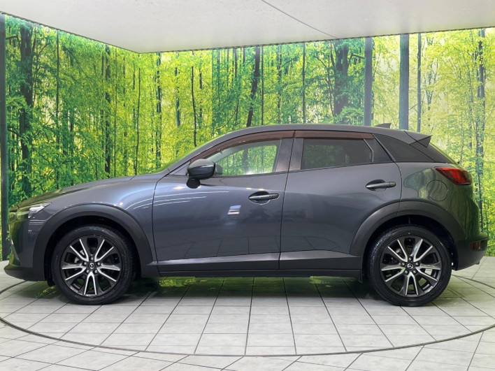 2015 Mazda CX-3 LDA-DK5FW (UW-6a2cc99b92657)[11]