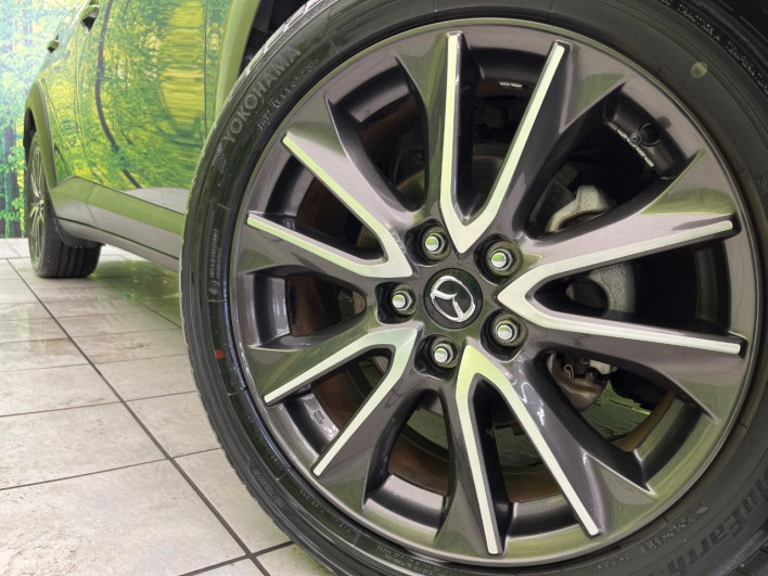 2015 Mazda CX-3 LDA-DK5FW (UW-6a2cc99b92657)[15]
