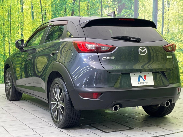 2015 Mazda CX-3 LDA-DK5FW (UW-6a2cc99b92657)[10]