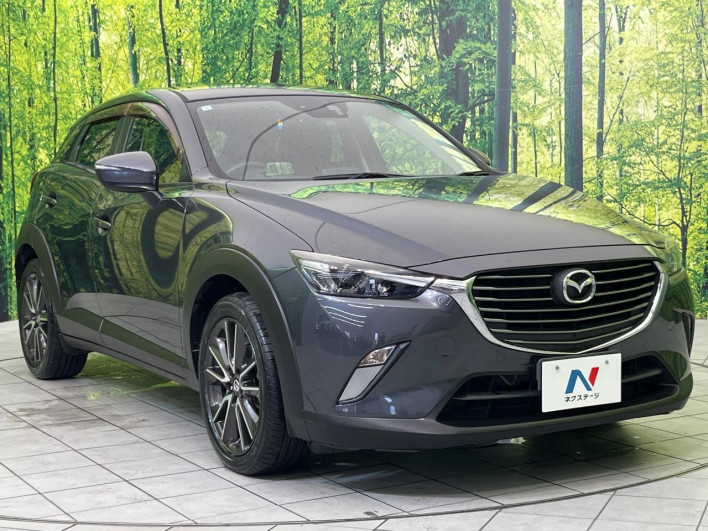 2015 Mazda CX-3 LDA-DK5FW (UW-6a2cc99b92657)[6]