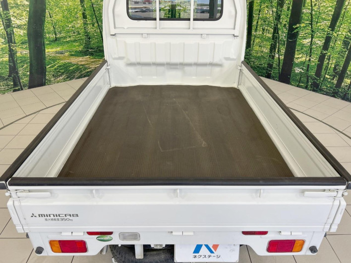 2017 Mitsubishi Mini Cab Truck EBD-DS16T (UW-6a2cc99fd4f6d)[17]
