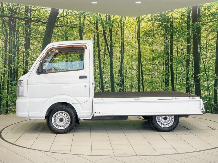 2017 Mitsubishi Mini Cab Truck EBD-DS16T (UW-6a2cc99fd4f6d)[20]
