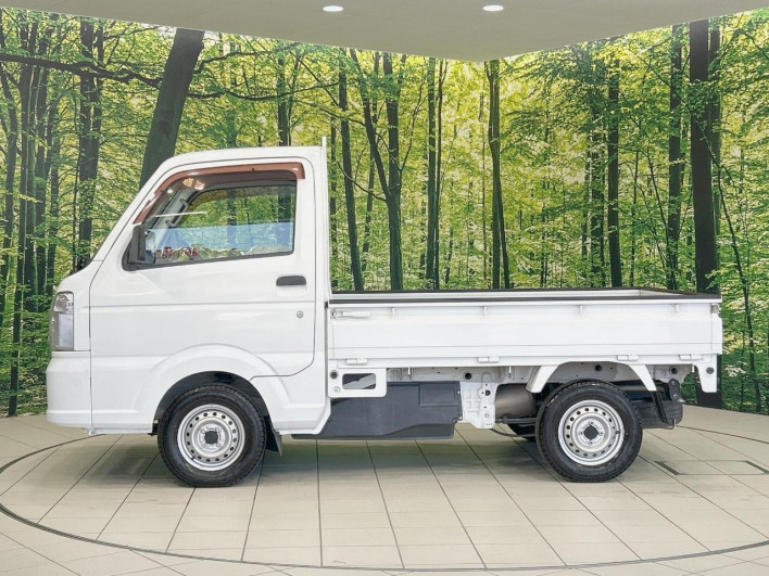 2017 Mitsubishi Mini Cab Truck EBD-DS16T (UW-6a2cc99fd4f6d)[10]